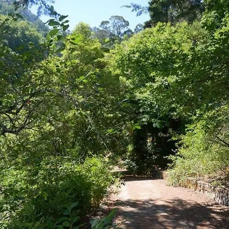 Quinta Dos Mouros Villa Sintra